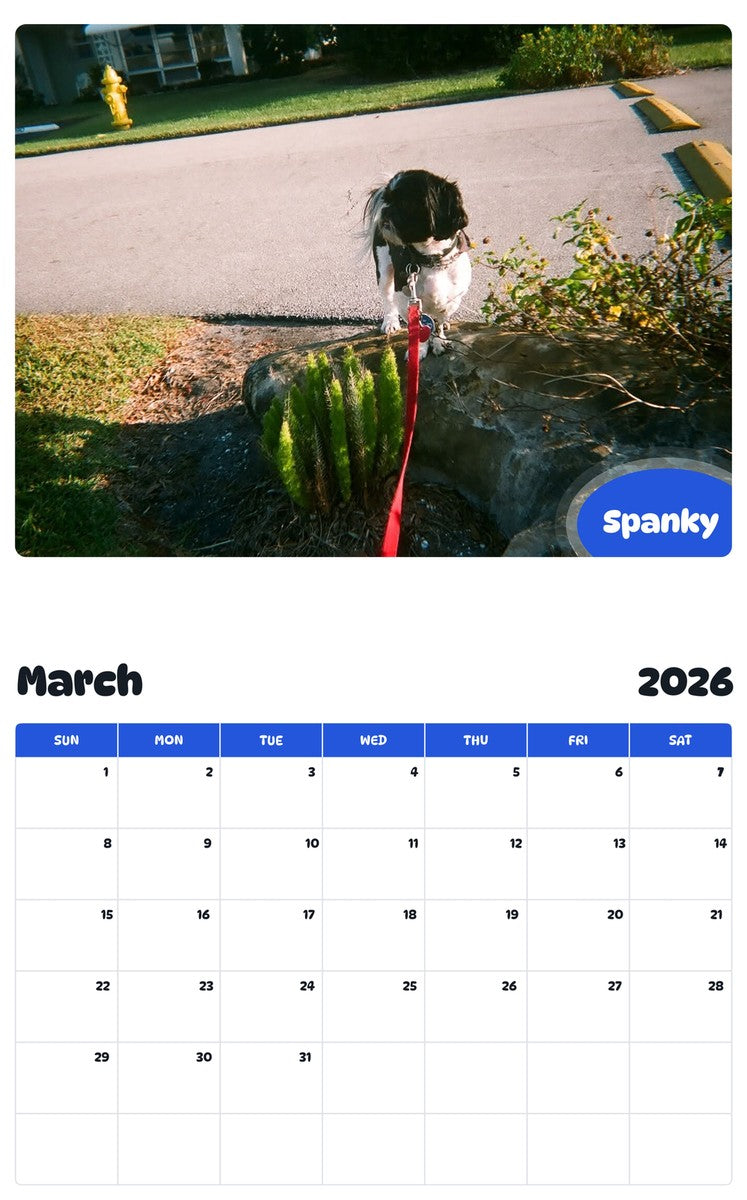 November 2025 - October 2026 Spanky - Pawidols Pet Calendar