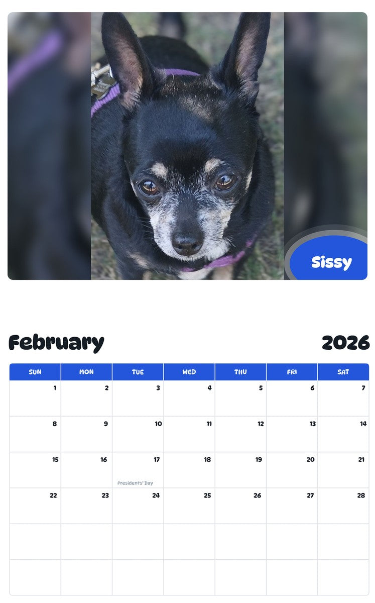 November 2025 - October 2026 Sissy - Pawidols Pet Calendar