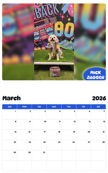 2026 - 2027 MICK JAGGER - Pawidols Pet Calendar
