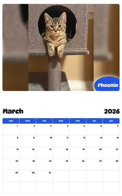 November 2025 - October 2026 Phoenix - Pawidols Pet Calendar