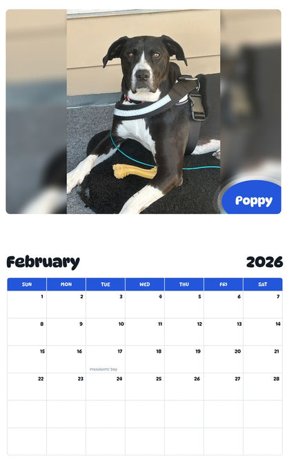 October 2025 - September 2026 Poppy - Pawidols Pet Calendar