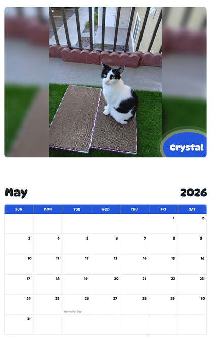 2026 - 2027 Crystal - Pawidols Pet Calendar