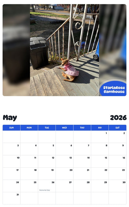 2026 - 2027 StarlaRose Barnhouse - Pawidols Pet Calendar