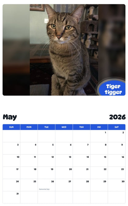 2026 - 2027 Tiger tigger - Pawidols Pet Calendar