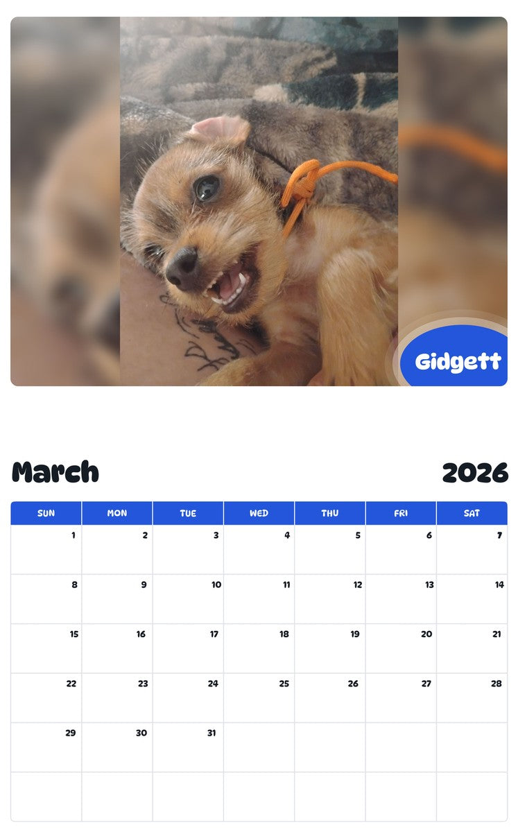 November 2025 - October 2026 Gidgett - Pawidols Pet Calendar