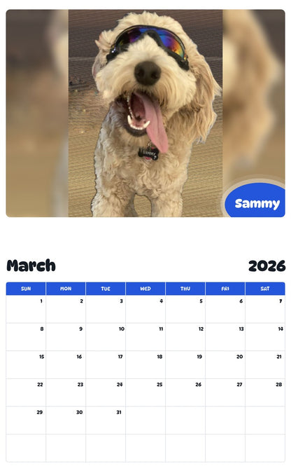 November 2025 - October 2026 Sammy - Pawidols Pet Calendar