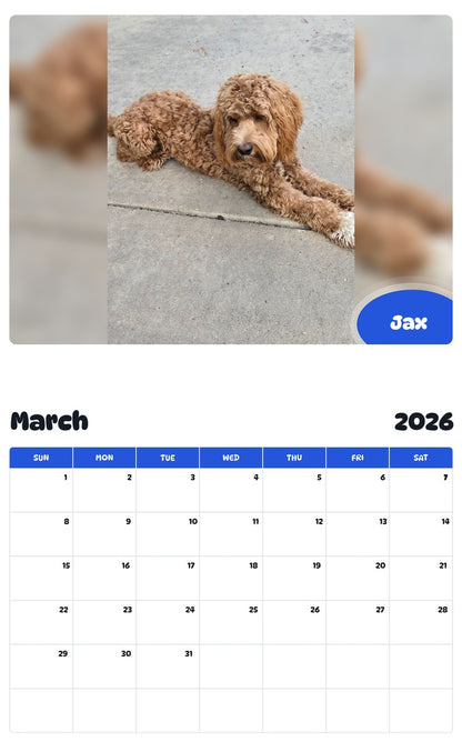 November 2025 - October 2026 Jax - Pawidols Pet Calendar