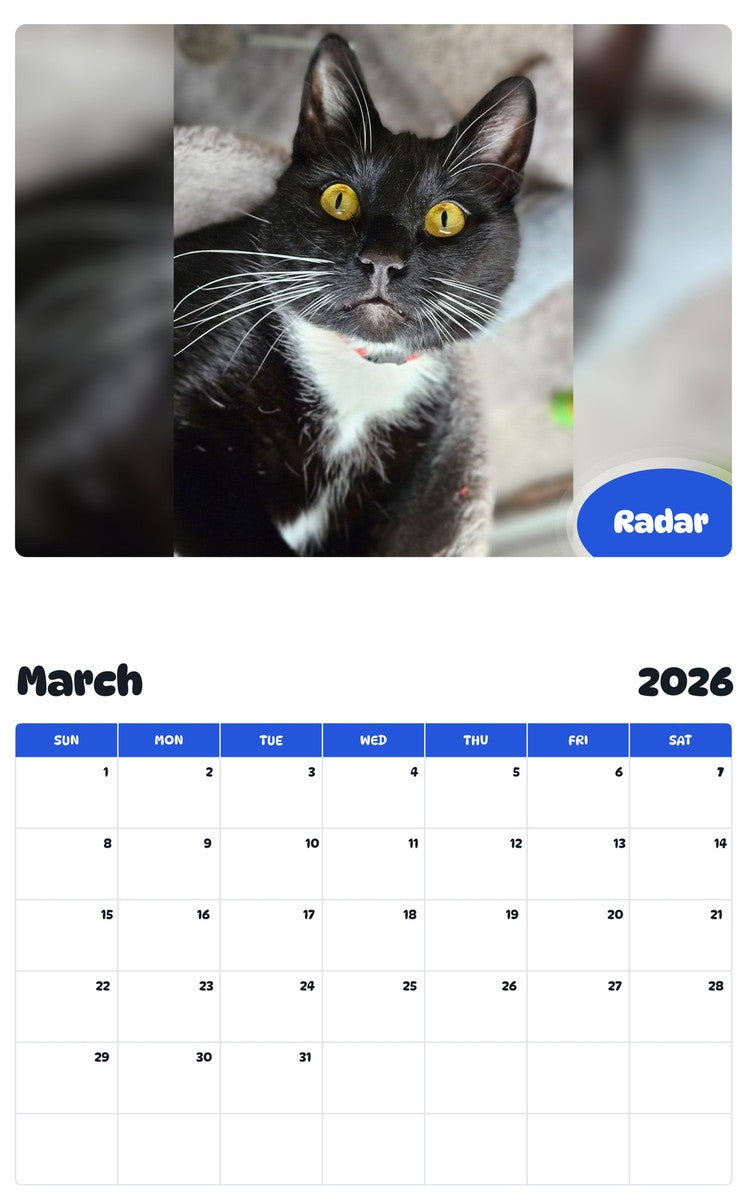 November 2025 - October 2026 Radar - Pawidols Pet Calendar
