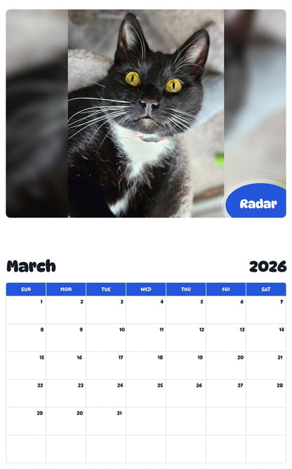 November 2025 - October 2026 Radar - Pawidols Pet Calendar