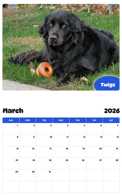November 2025 - October 2026 Twigs - Pawidols Pet Calendar