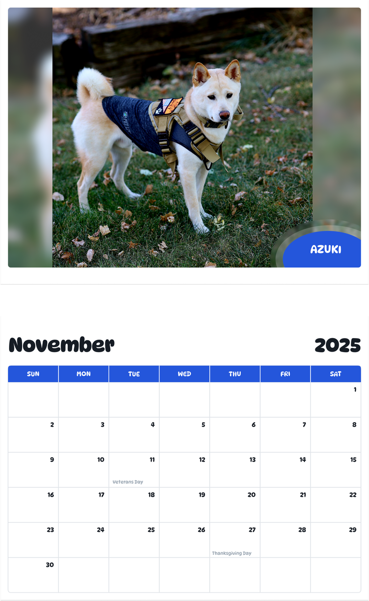 July 2025 - June 2026 AZUKI - Pawidols Pet Calendar