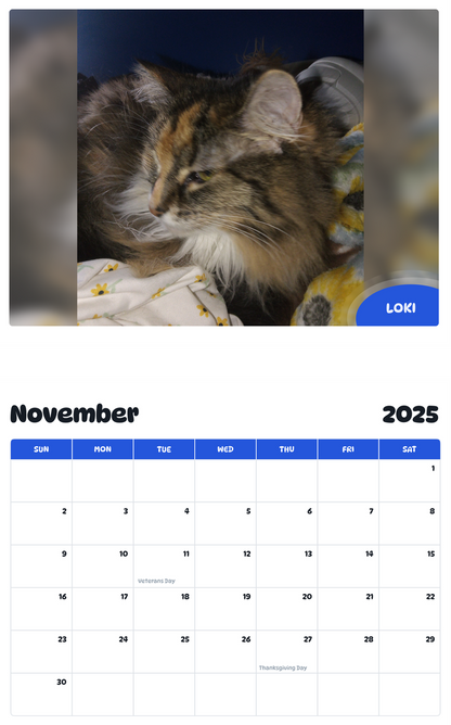 July 2025 - June 2026 Loki - Pawidols Pet Calendar