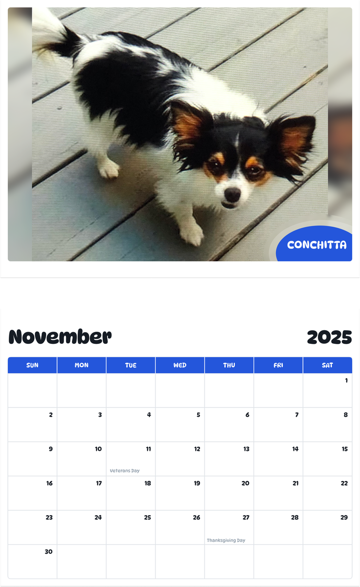 July 2025 - June 2026 Conchitta - Pawidols Pet Calendar