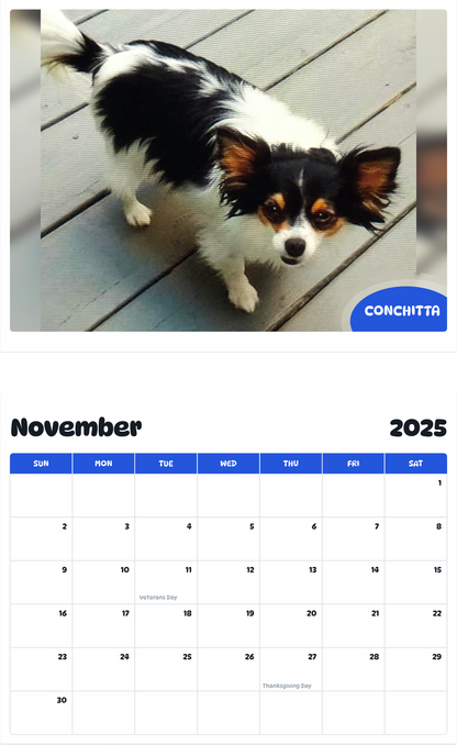 July 2025 - June 2026 Conchitta - Pawidols Pet Calendar