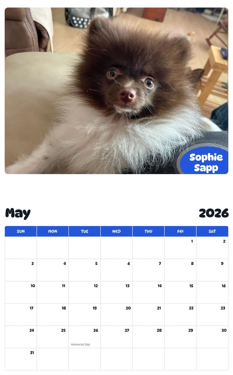 2026 - 2027 Sophie Sapp - Pawidols Pet Calendar