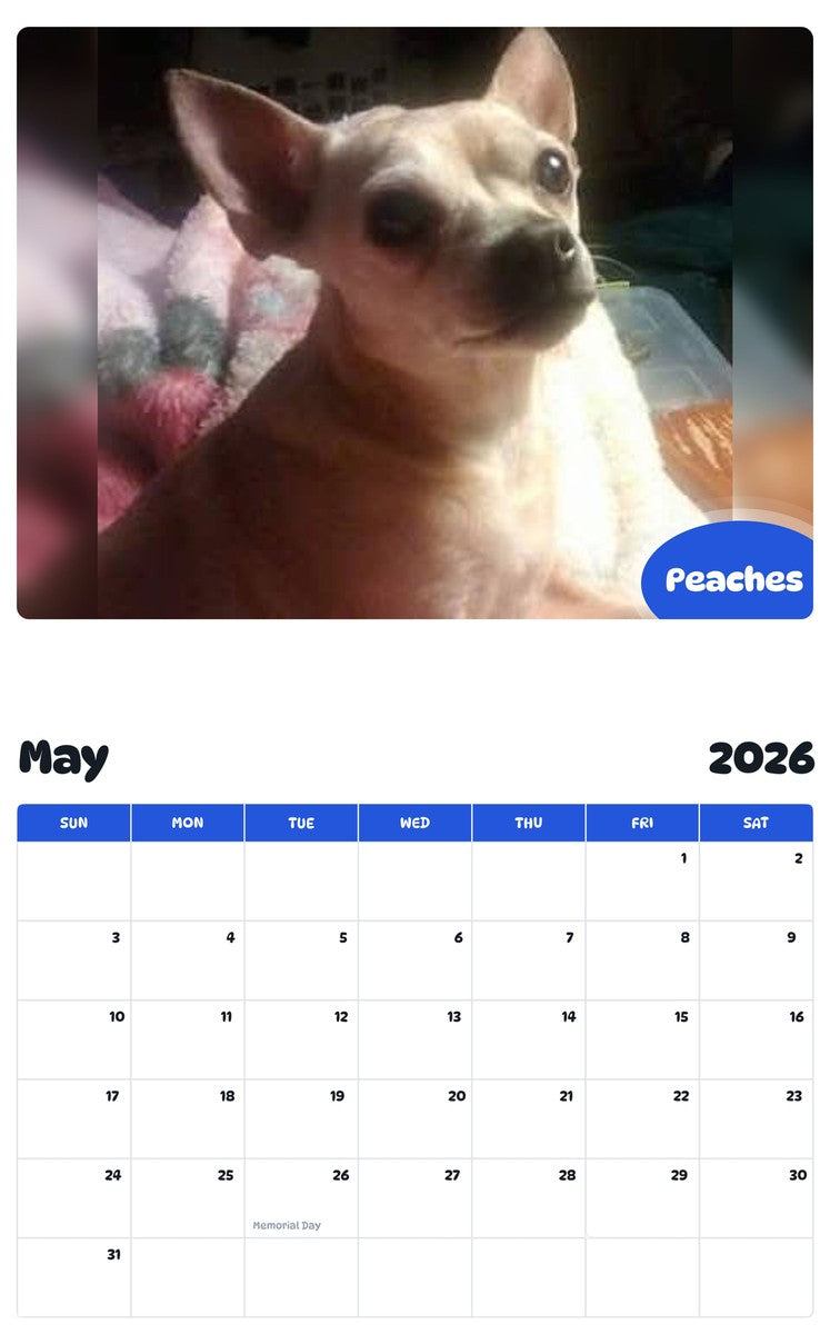 2026 - 2027 Peaches - Pawidols Pet Calendar