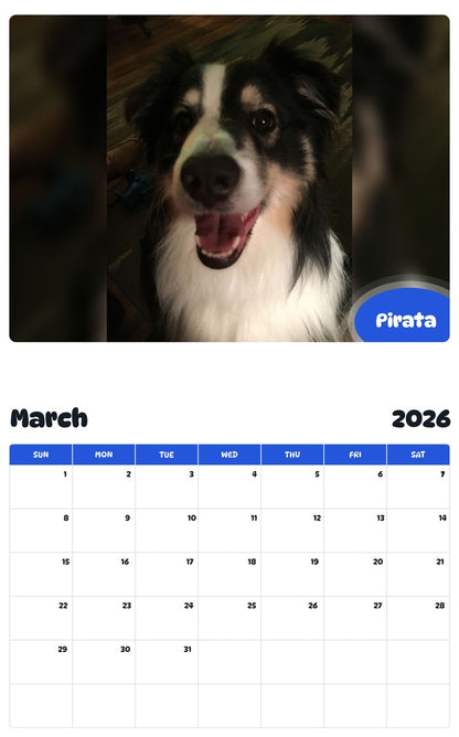 November 2025 - October 2026 Pirata - Pawidols Pet Calendar