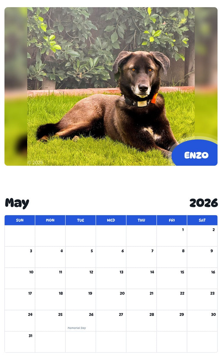 2026 - 2027 ENZO - Pawidols Pet Calendar