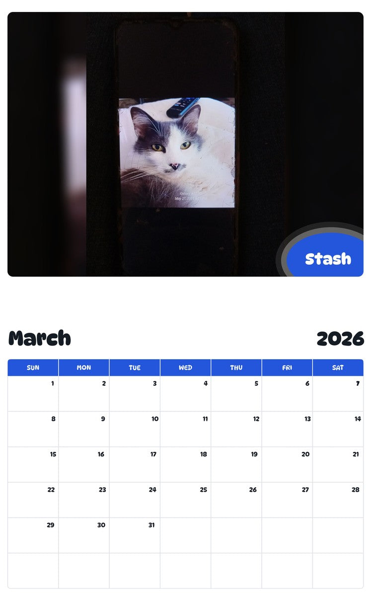 November 2025 - October 2026 Stash - Pawidols Pet Calendar