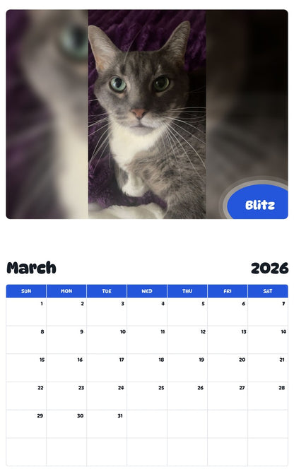 November 2025 - October 2026 Blitz - Pawidols Pet Calendar