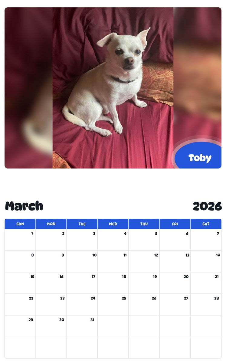 November 2025 - October 2026 Toby - Pawidols Pet Calendar