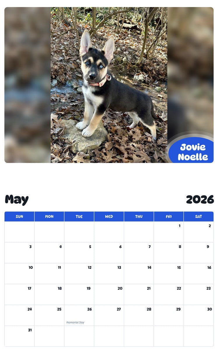 2026 - 2027 Jovie Noelle - Pawidols Pet Calendar