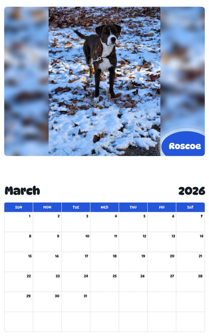 November 2025 - October 2026 Roscoe - Pawidols Pet Calendar