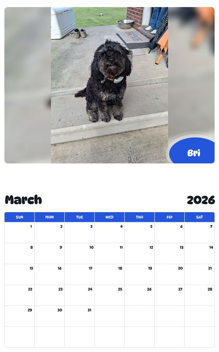 November 2025 - October 2026 Bri - Pawidols Pet Calendar