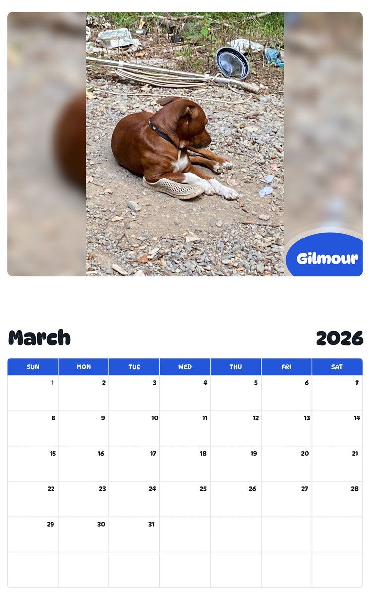November 2025 - October 2026 Gilmour - Pawidols Pet Calendar