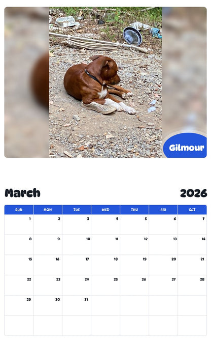 November 2025 - October 2026 Gilmour - Pawidols Pet Calendar