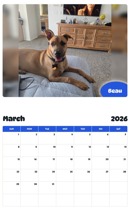 November 2025 - October 2026 Beau - Pawidols Pet Calendar