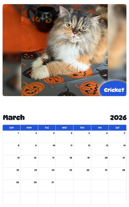 November 2025 - October 2026 Cricket - Pawidols Pet Calendar