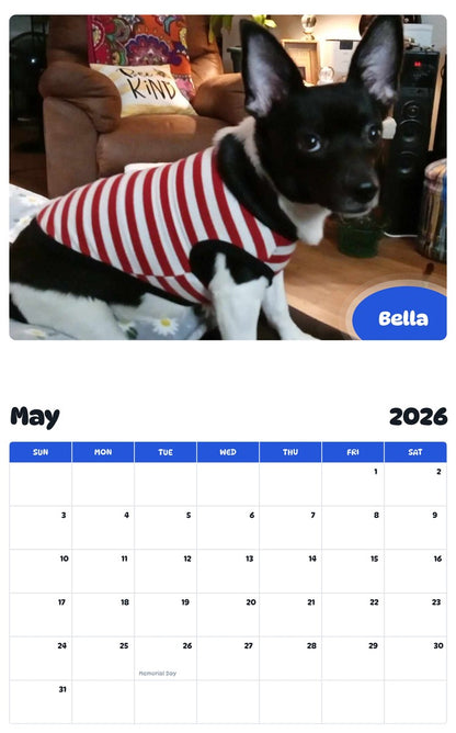2026 - 2027 Bella - Pawidols Pet Calendar