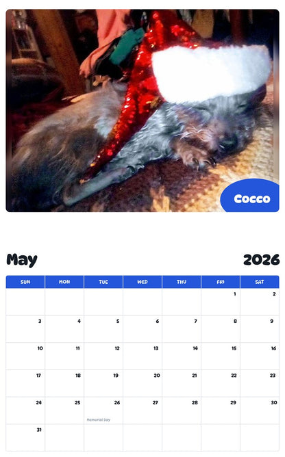 2026 - 2027 Cocco - Pawidols Pet Calendar