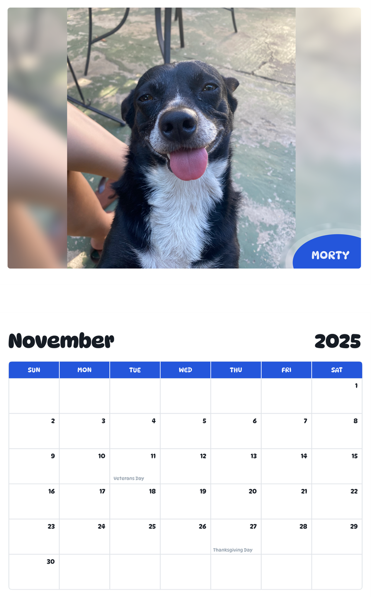July 2025 - June 2026 Morty - Pawidols Pet Calendar