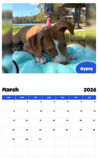 November 2025 - October 2026 Gypsy - Pawidols Pet Calendar