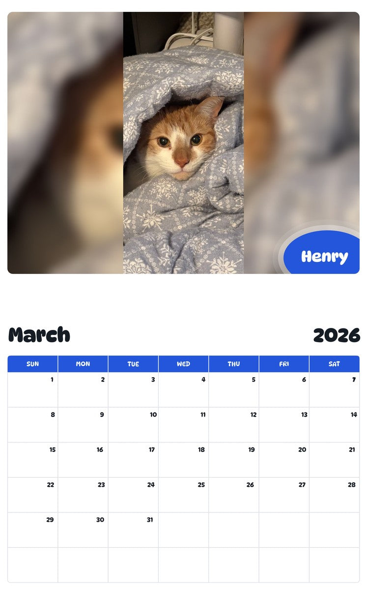 November 2025 - October 2026 Henry - Pawidols Pet Calendar