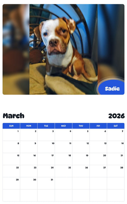 November 2025 - October 2026 Sadie - Pawidols Pet Calendar