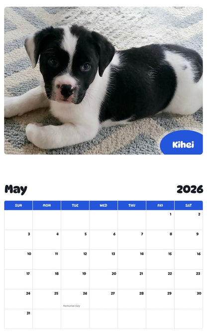 2026 - 2027 Kihei - Pawidols Pet Calendar