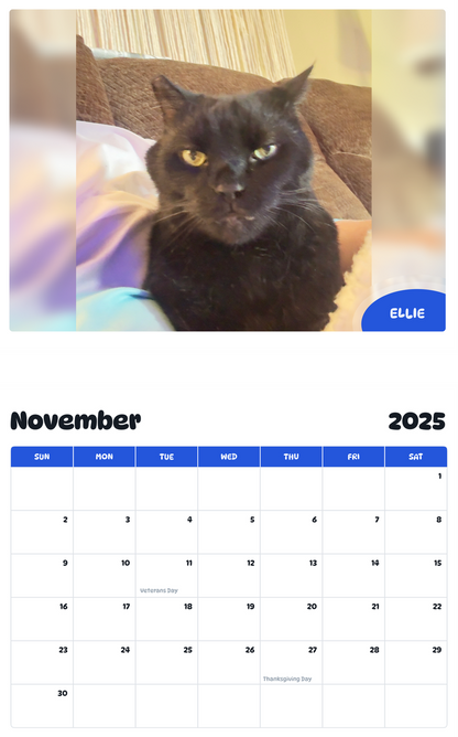 July 2025 - June 2026 Ellie - Pawidols Pet Calendar