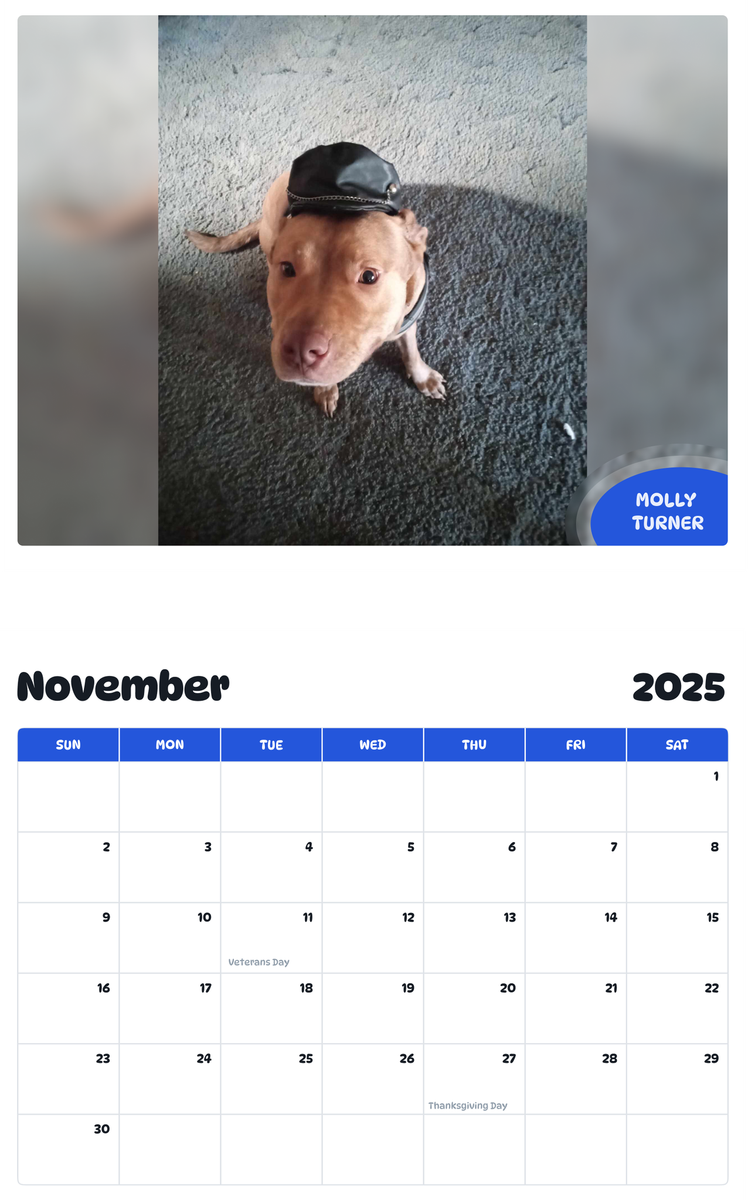 July 2025 - June 2026 Molly Turner - Pawidols Pet Calendar