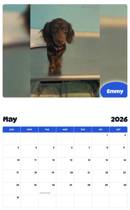 2026 - 2027 Emmy - Pawidols Pet Calendar