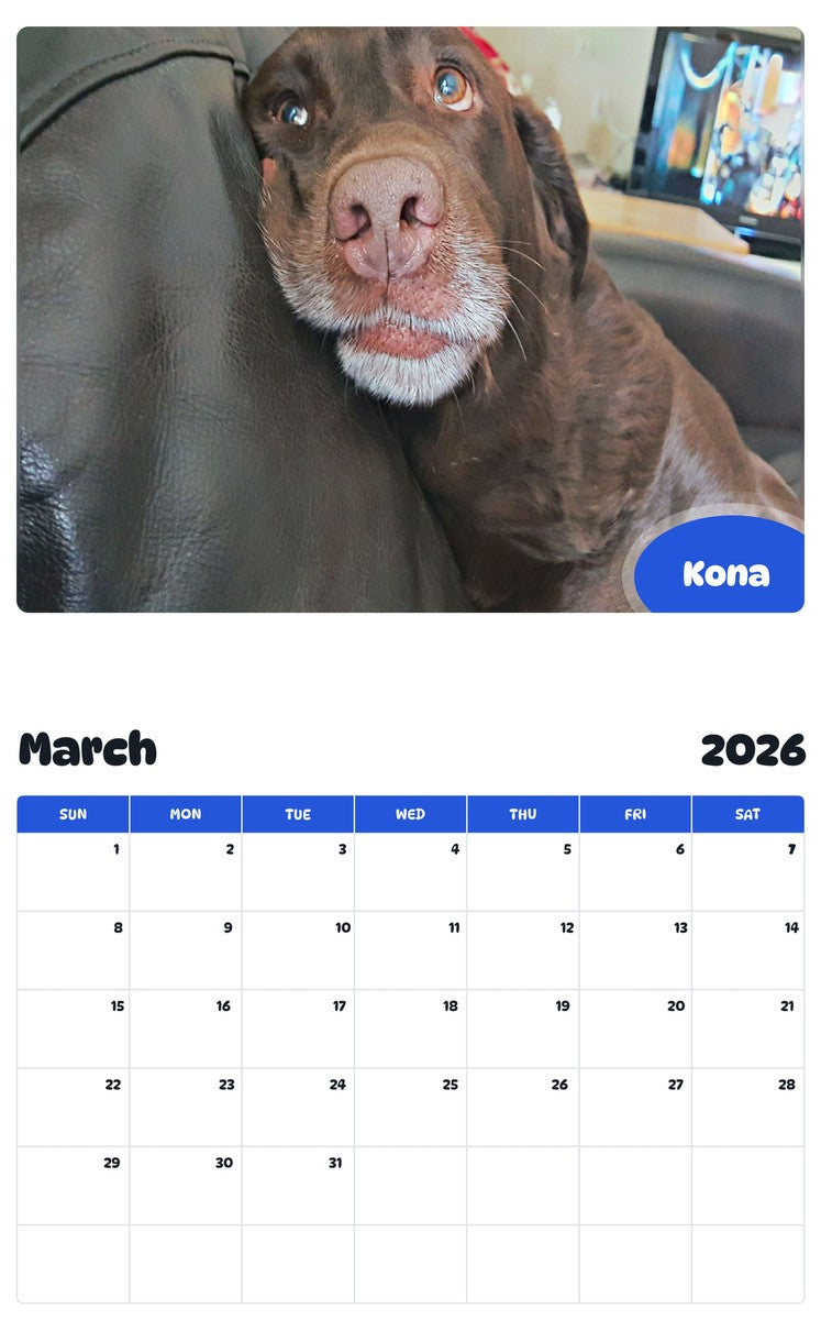 November 2025 - October 2026 Kona - Pawidols Pet Calendar