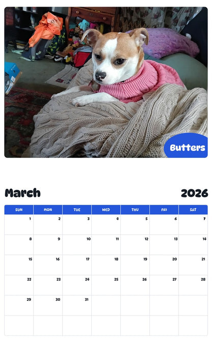 November 2025 - October 2026 Butters - Pawidols Pet Calendar