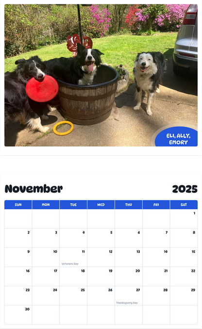 July 2025 - June 2026 Eli, Ally, Emory - Pawidols Pet Calendar