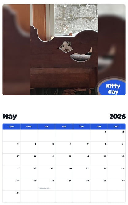 2026 - 2027 Kitty Ray - Pawidols Pet Calendar