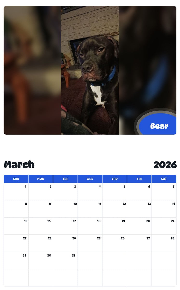 November 2025 - October 2026 Bear - Pawidols Pet Calendar