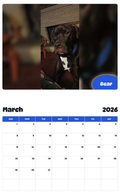 November 2025 - October 2026 Bear - Pawidols Pet Calendar