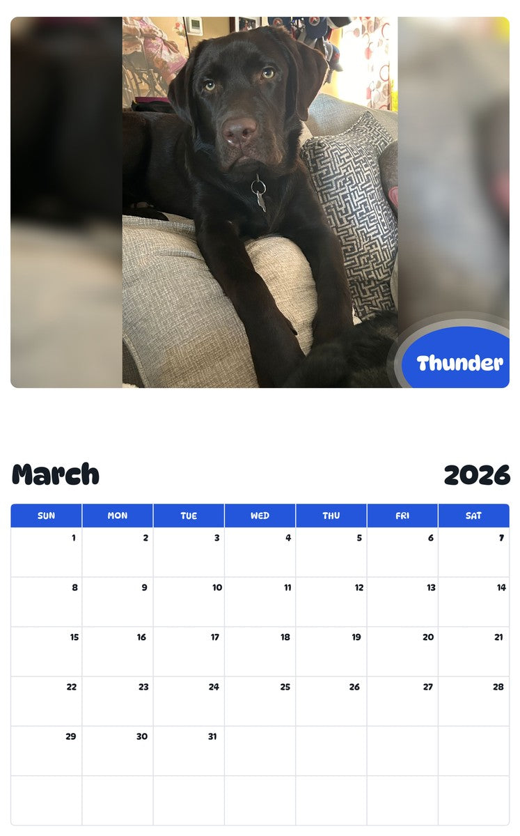 November 2025 - October 2026 Thunder - Pawidols Pet Calendar