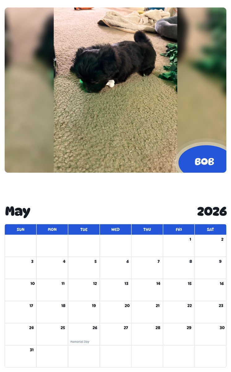 2026 - 2027 BOB - Pawidols Pet Calendar